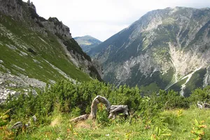 Schutz von Landschaftsteilen im Bereich der Allgäuer Hochalpenkette mit Einschluß der Oberstdorfer Täler und des Hintersteiner Tales im Landkreis Oberallgäu