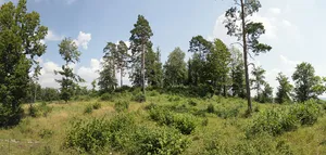 Burgstall Ebermannstadt