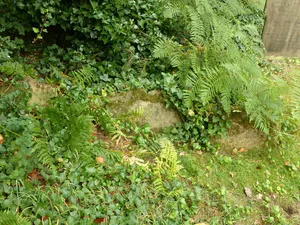 Three Headstones 8 Metres South Of South Chapel At Church Of St Leonard