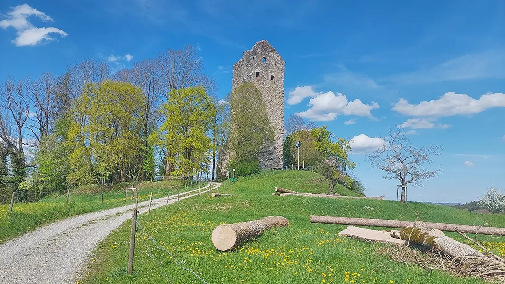 Ruin Neuravensburg in the municipality of Wangen im Allgäu, view from south