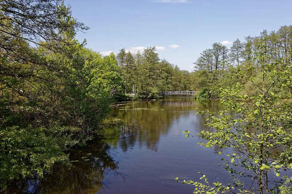 Hamburg-Wilhelmsburg, Inselpark, Eingang Kuckuckshorn, Blick über den See Mahlbusen