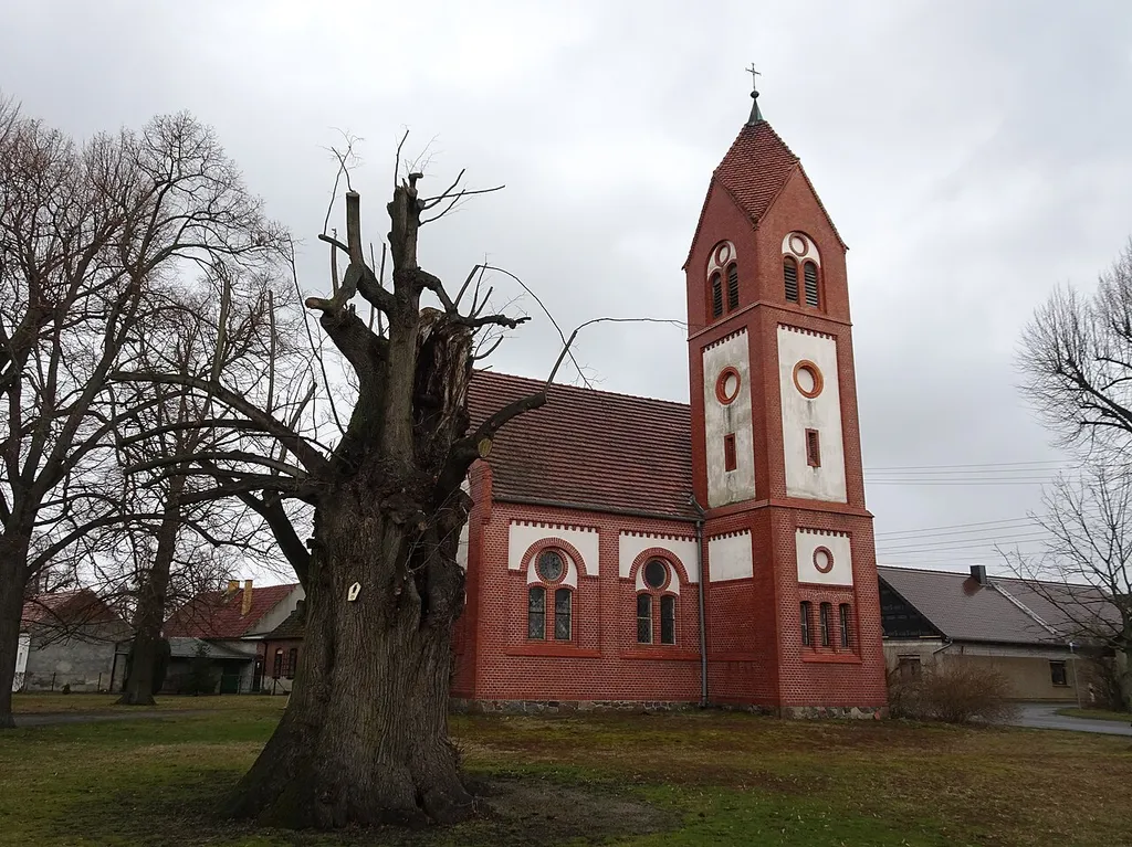 Drößig, Gemeinde Heideland, denkmalgeschützte Dorfkirche, mit Linde (Naturdenkmal)