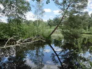 Pfrunger und Burgweiler Ried