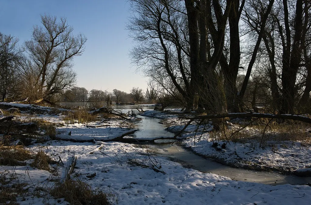 Naturschutzgebiet „Öberauer Schleife“ (NSG 00288.01), Bayern