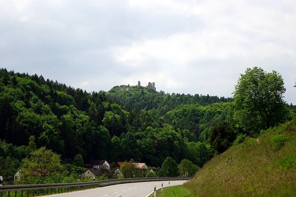 (FFH:BY-6636-301)_Fledermausquartiere um Hohenburg Die Hohenburg im Naturpark Hirschwald. Hier wohnt die Große Hufeisennase