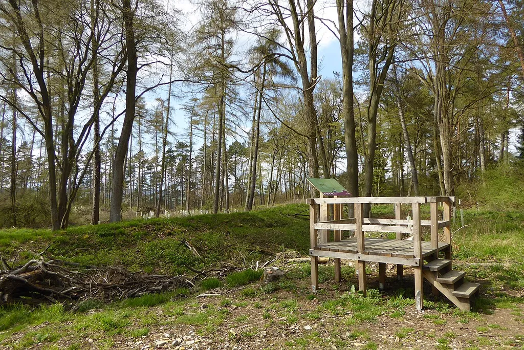 Hünenburg bei Dransfeld, am Ossenberg über dem Auschnippetal gelegen, in der Gemeinde Adelebsen, Südniedersachsen. Hier die Ostseite der Burganlage mit Versturzwall und vorgelagertem Graben und neuer Aussichtsplattform