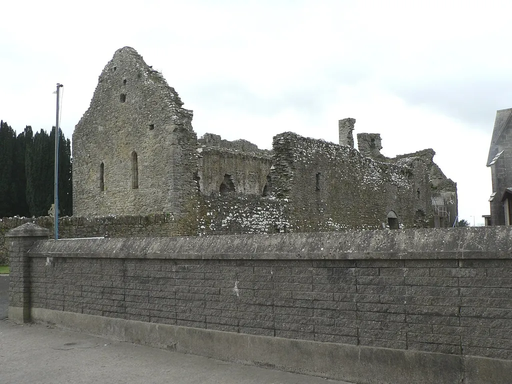 This is a photo of the ruins of the old church in Hospital, Co. Limerick