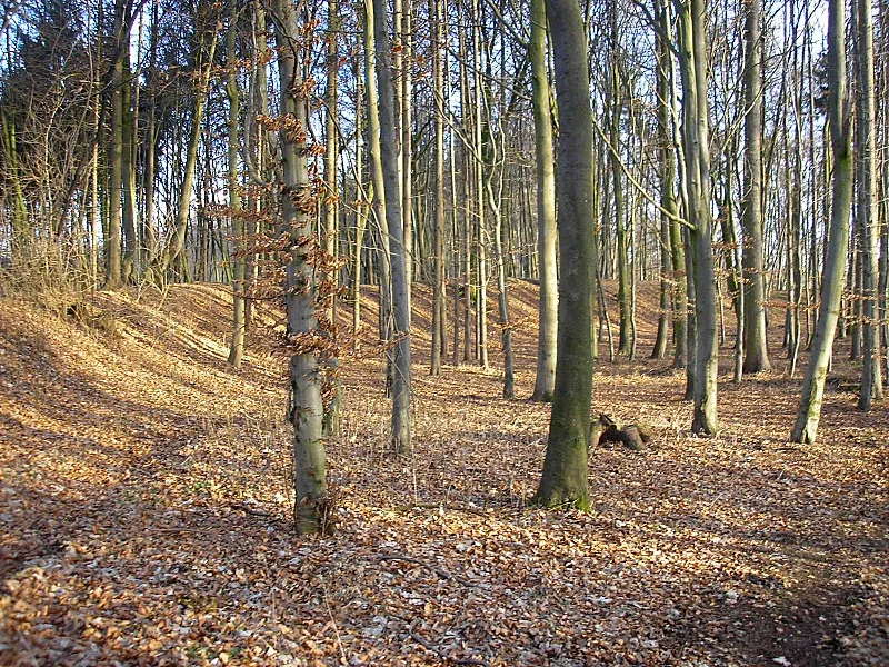 Burgstall Sand (Todtenweis, Landkreis Aichach-Friedberg, Bayerisch-Schwaben). Innenraum nach Osten. Eigene Aufnahme, Jan. 2008 / Former Sand castle (Todtenweis, Landkreis Aichach-Friedberg, Bavaria, Germany). The plateau, looking east. Own photo, Jan. 2008
