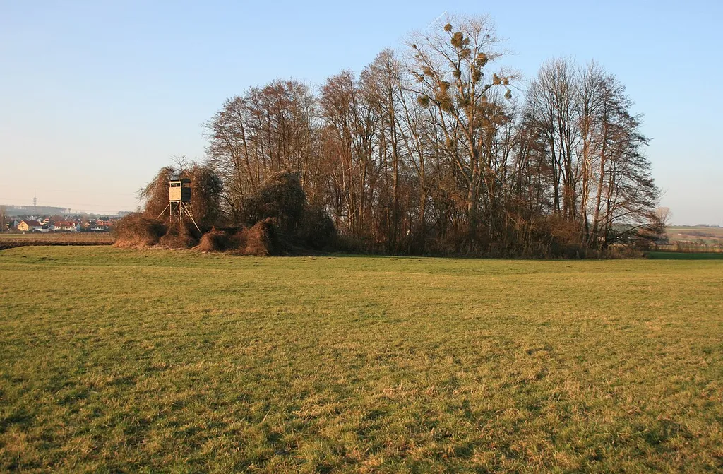 Burg Wachenbuchen