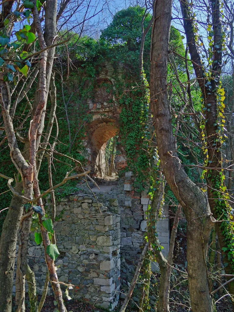Ruin of Scharfeneck-castle near Mannersdorf am Leithagebirge, Lower Austria, Austria