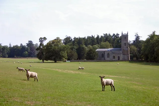 Church of St Genevieve in Euston, Suffolk, England. A Grade I listed church.