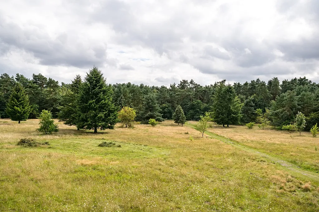Landschaft im NSG Ölbachtal mit Augustdorfer Dünenfeld