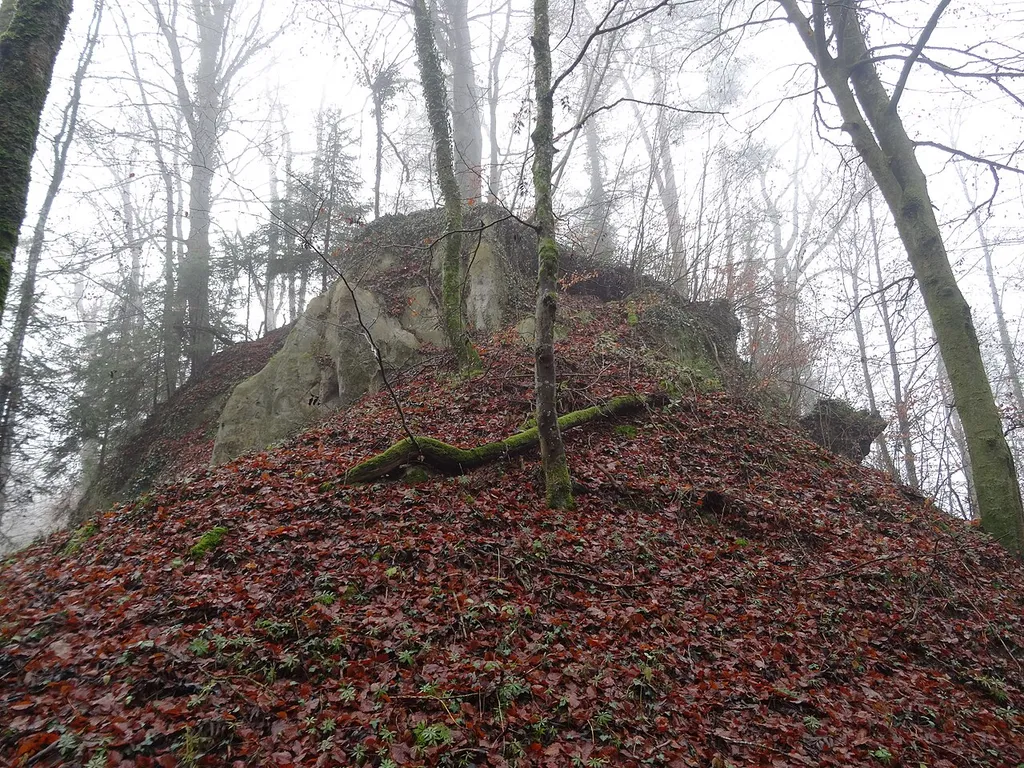 Motte von NE der Burgstelle Alt-Bubenberg
