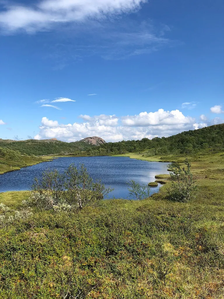 Lierne National Park