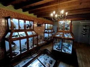 Alfredo Dugès Museum