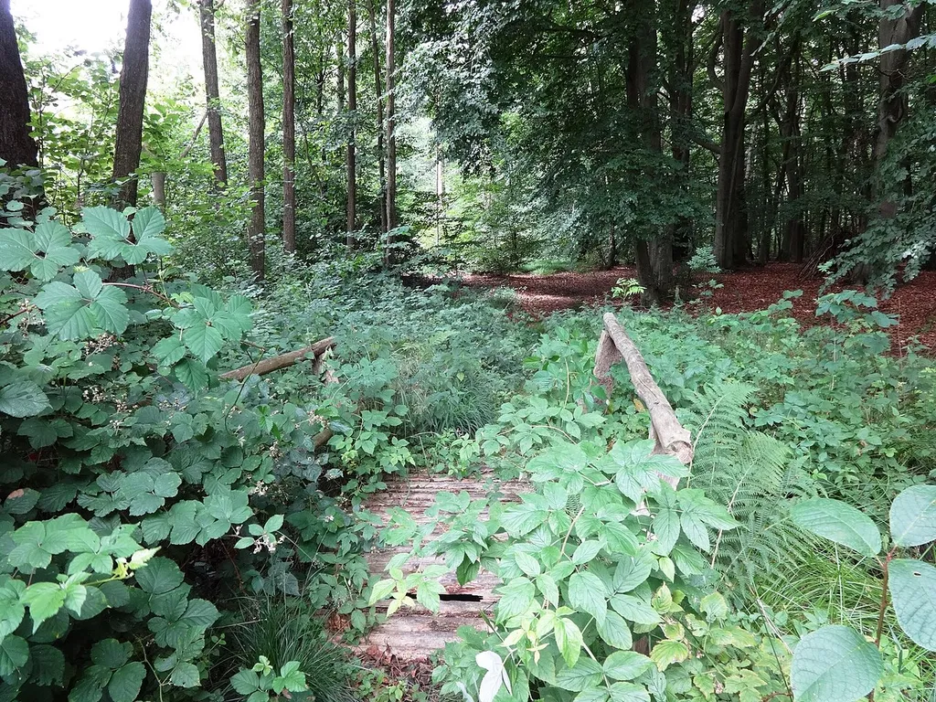 Das NSG Karlsburger und Oldenburger Holz ist ein Naturschutzgebiet in Mecklenburg-Vorpommern mit einem strukturierten Waldgebiet, feuchten Senken und Grünlandflächen. Es ist Lebensraum des Schreiadlers. Durch das NSG führen mehrere Wanderwege sowie eine Allee, die mit den Bäumen des Jahres bepflanzt ist.