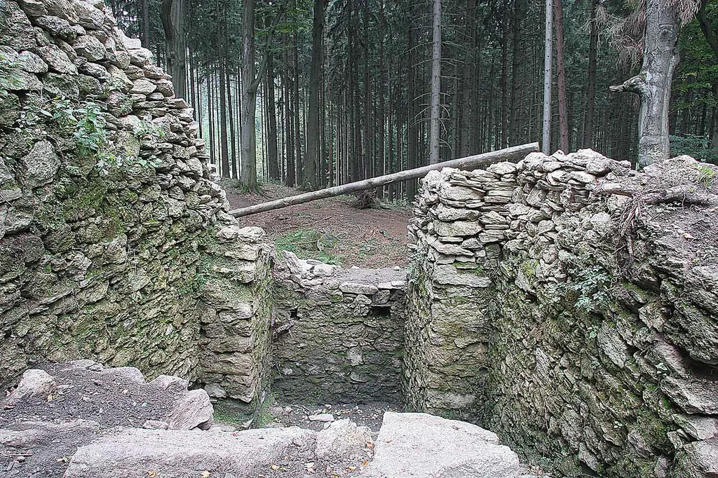 PP Štarkov - ruins, district Žďár nad Sázavou, Czech Republic autor:Prazak date:6. 9. 2006