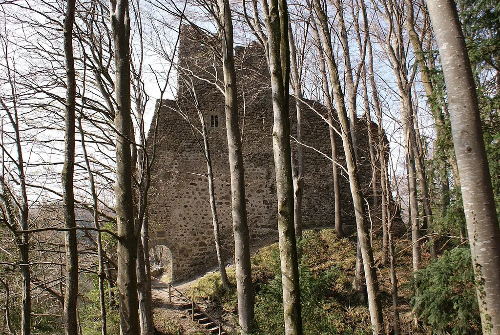 Ruine Alt-Ramschwag bei Häggenschwil
