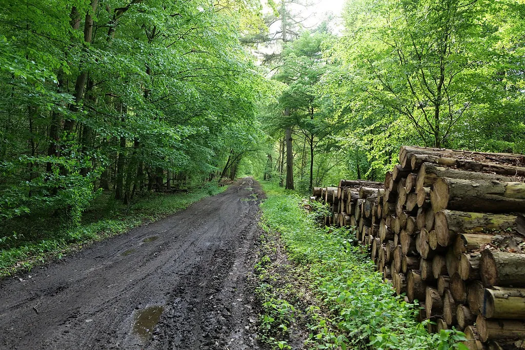 Naturschutzgebiet Boitzenburger Tiergarten und Strom.