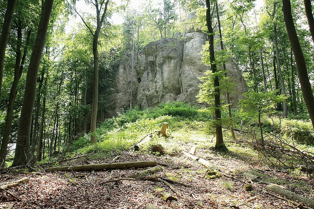 Ansicht des Burgfelsens, auf dem die Oberburg Riegelstein lag