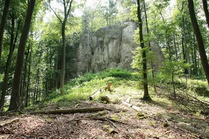 Burgruine