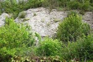 Gipskarst bei Berneburg