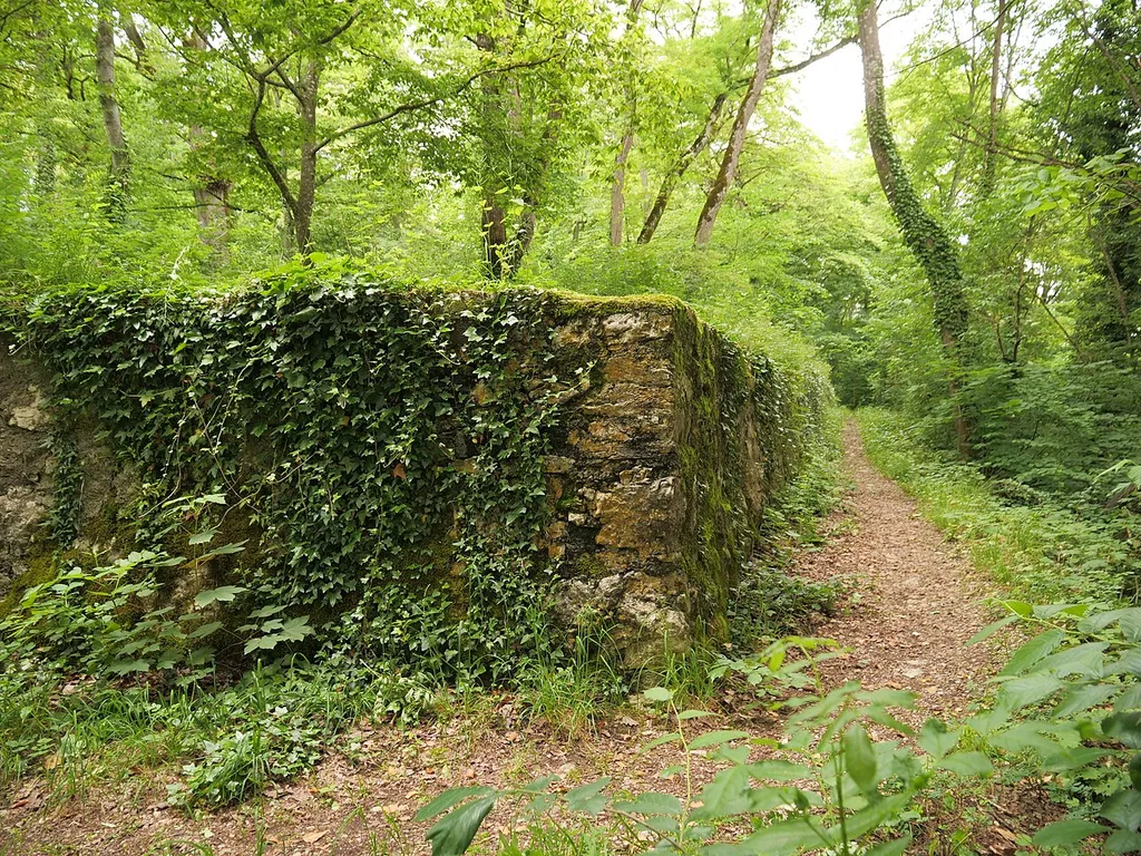 Neuburg Castle Ruins (fortified castle near Wörth)