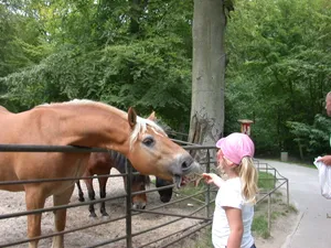 Sassnitz Wildlife Park