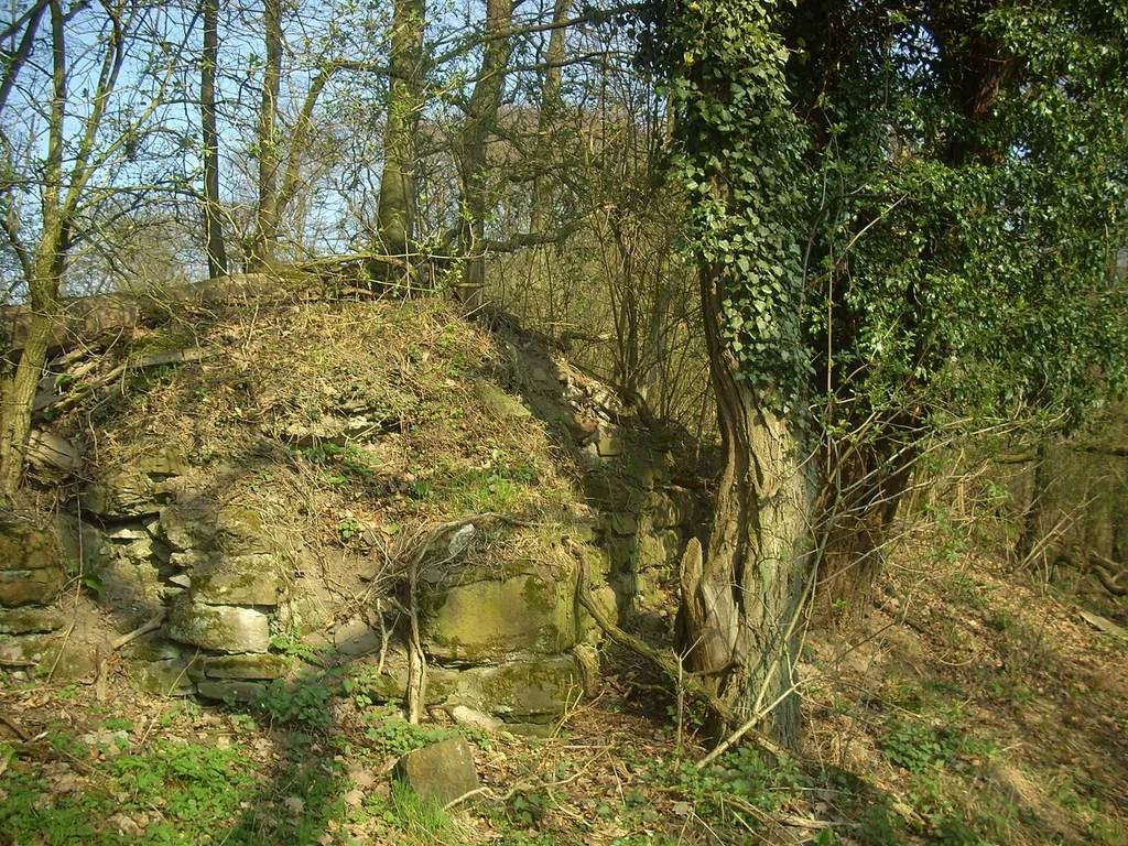 Mauerreste der Burg Fürstenberg (Höingen) auf dem "Richters Köpfchen"