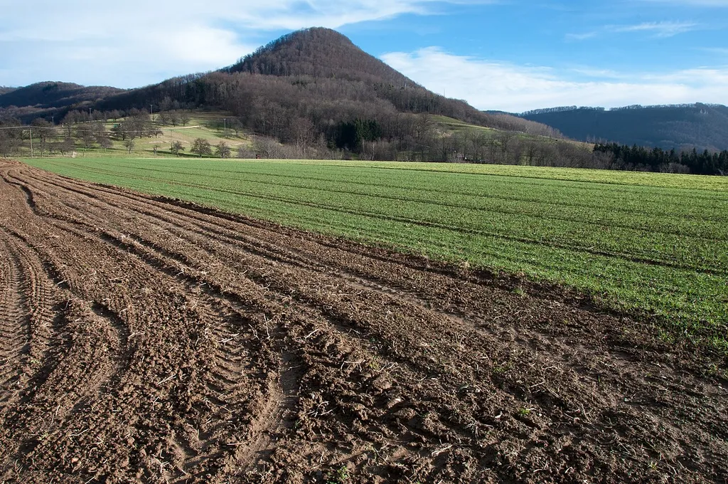 Oberhalb des Neidlinger Tals ist dem Erkenberg eine Hochfläche vorgelagert, die landwirtschaftlich genutzt wird.