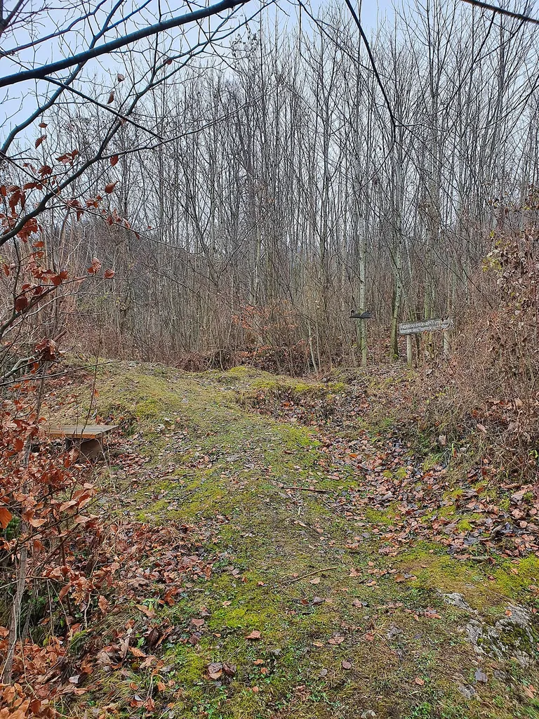 Burgstall bei Staudach