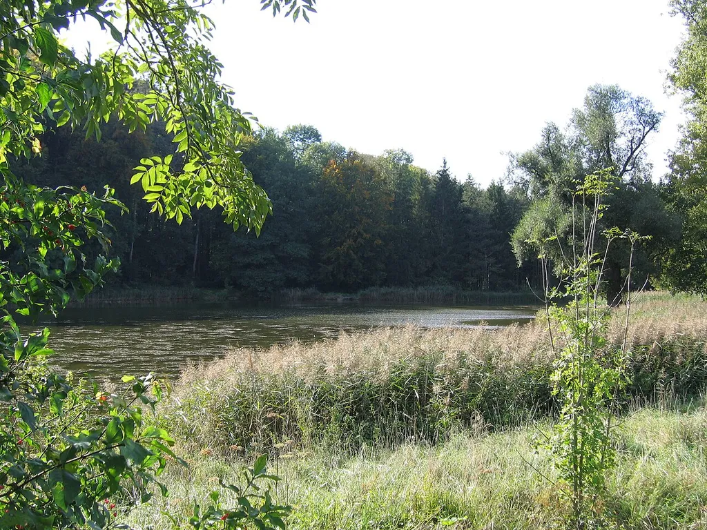 Germany - Baden-Württemberg - Bodenseekreis - Salem: 'Markgräfinweiher'