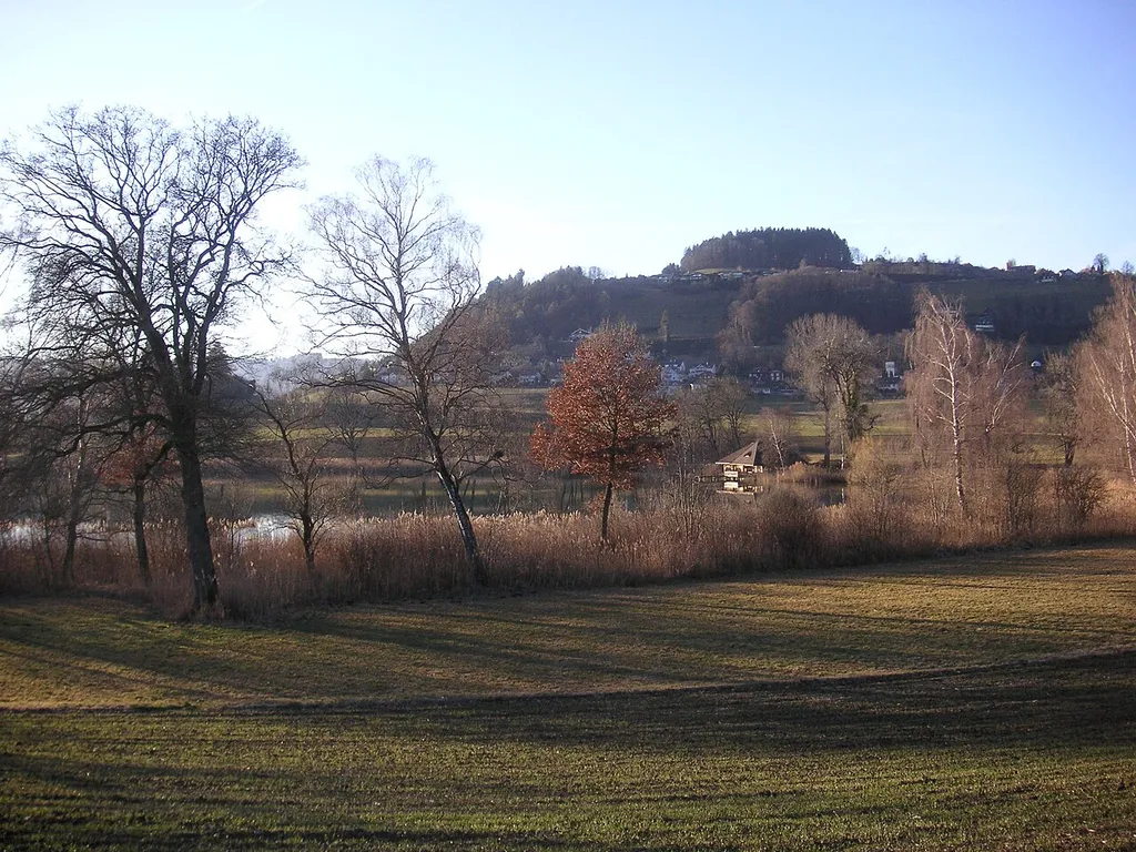Gerzensee with town