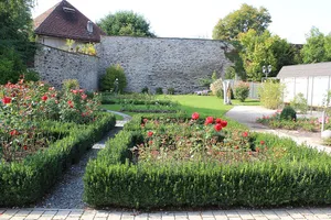 Sankt Veit an der Glan - Rosengarten
