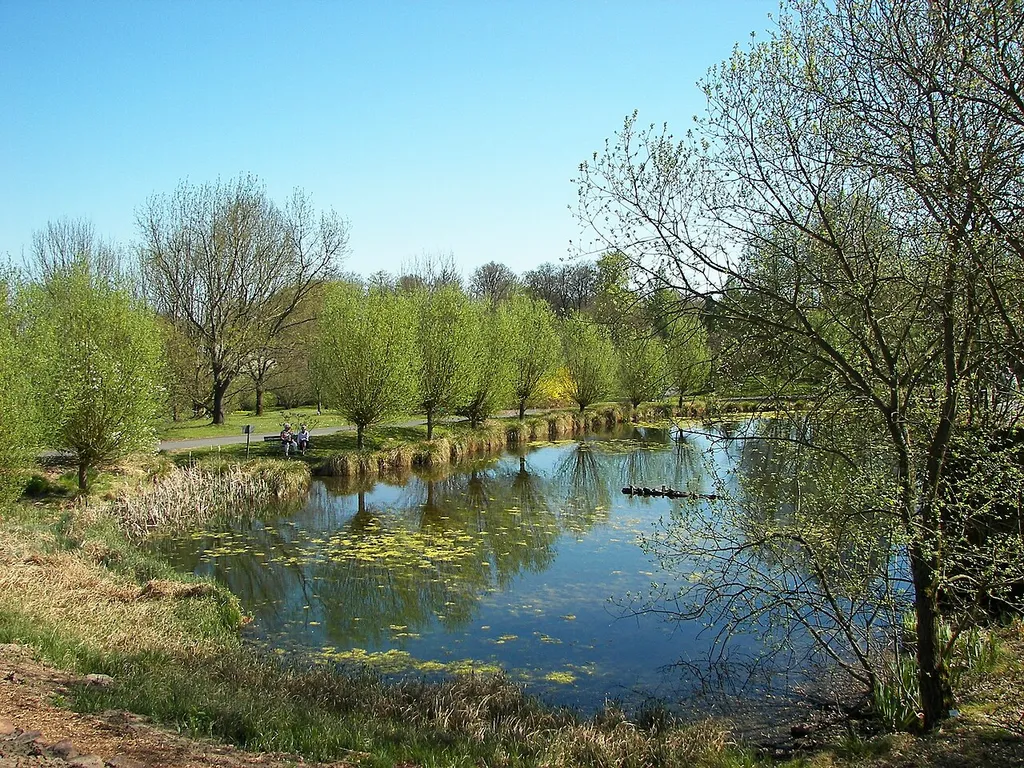Teich im Neuen Botanischen Garten Marburg