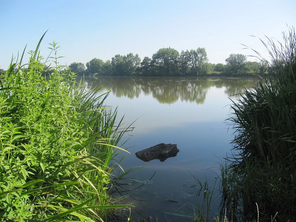 Chropyně, Kroměříž District, Czech Republic. Chropyňský rybník (pond), a National Natural Landmark.