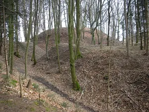Burgstall Walleshausen