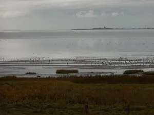 Hamburgisches Wattenmeer