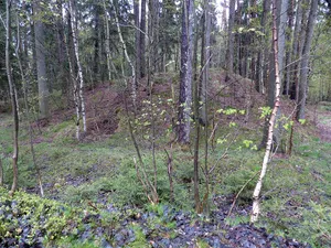 Burgstall Großwendern