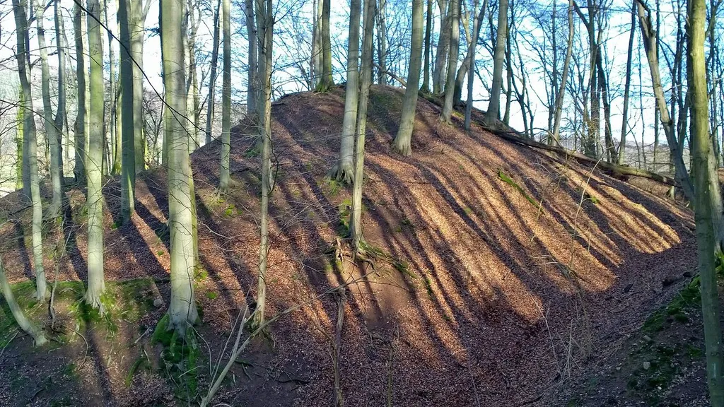 Blick auf den Burgstall Waldaschaff