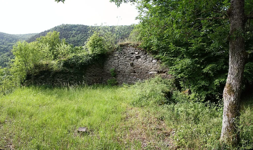 Burgruine Kammerburg im Wispertal Lorch Rhein