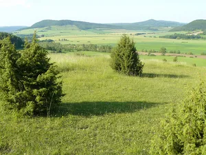 Wiesenthaler Schweiz