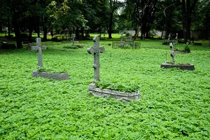 Novodevichy Cemetery