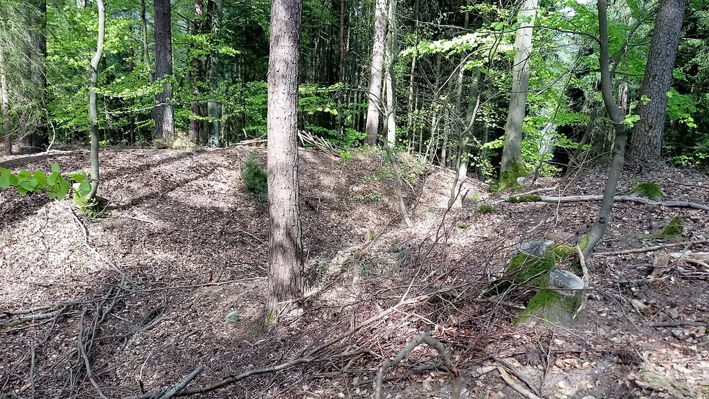 Burgstall Burgbuckel Hettigenbeuern (BCH)