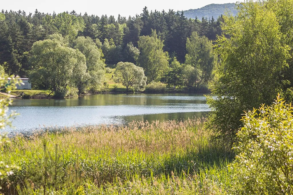 Birkensee (Nürnberg)