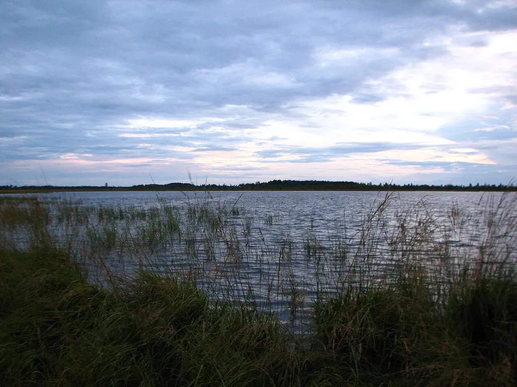 Vyalye