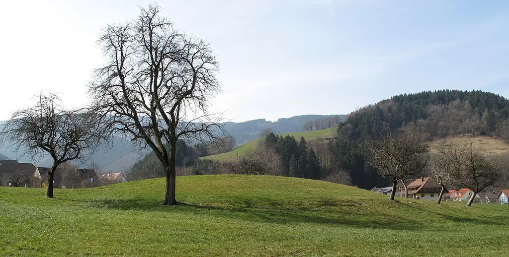 Motte von Osten.