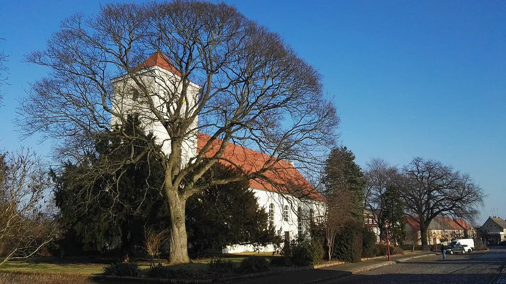 Teil der Gehölzgruppe an der Kirche in Friesack, Naturdenkmal