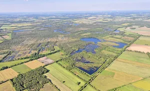 Hohes Moor (Lüneburg)