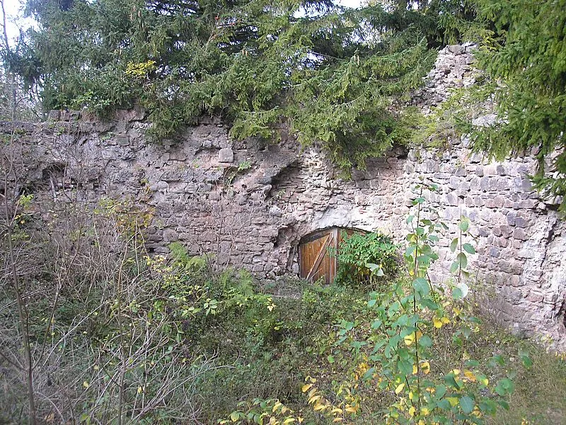 Burg Nesselburg
